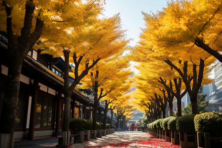 东京城市建筑的美丽景观图片