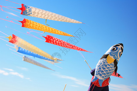 传统鲤鱼风筝背景图片