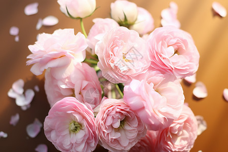浪漫的粉色玫瑰花图片