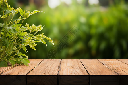 户外木清新植物背景设计图片
