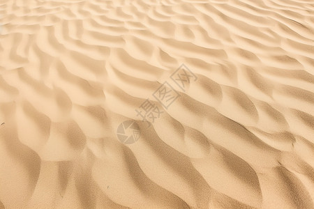 自然纹理的沙丘背景图片