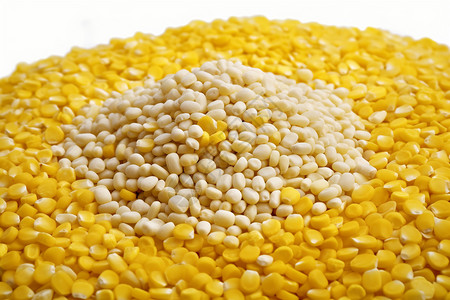 健康的谷物玉米背景图片