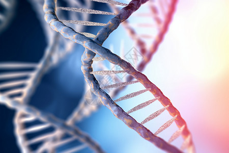 基因遗传学基因工程技术高清图片
