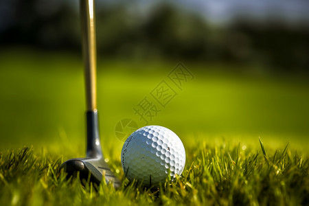 休闲的高尔夫运动图片