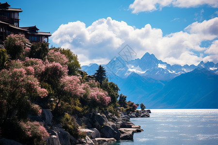 神秘绚丽的风景背景图片