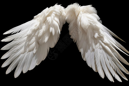 白色翅膀素材白色的天使羽毛翅膀设计图片