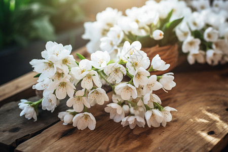 白色小花花束户外木桌上的白色小花背景