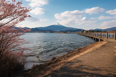 远望美丽的富士山图片