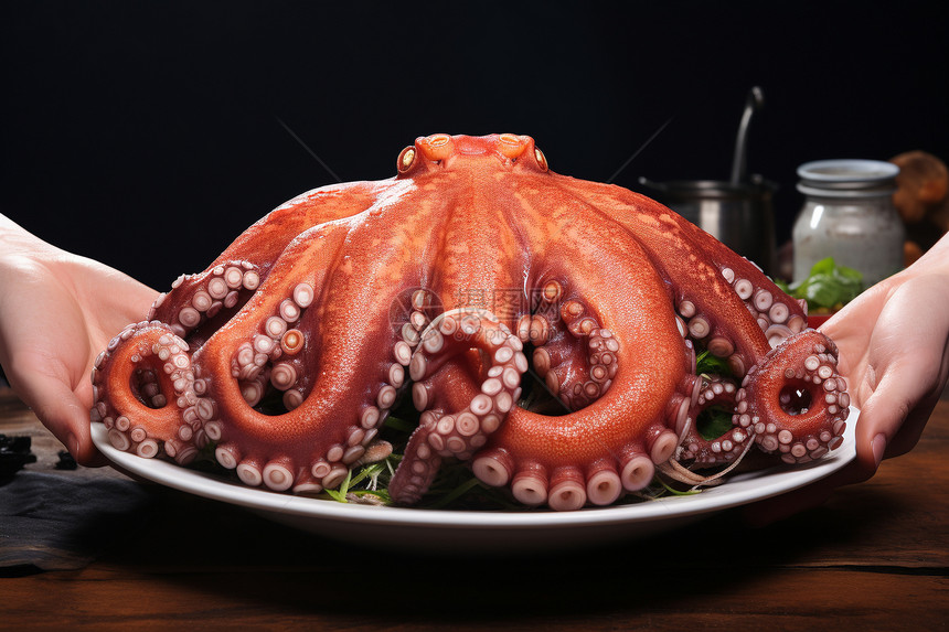 新鲜的章鱼食品图片