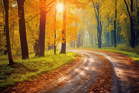 秋季美丽的山间小路背景图片