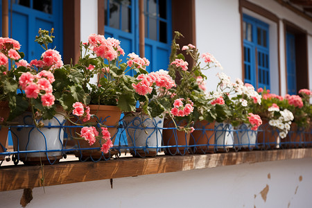 欧式窗台夏季户外的鲜花盆栽背景