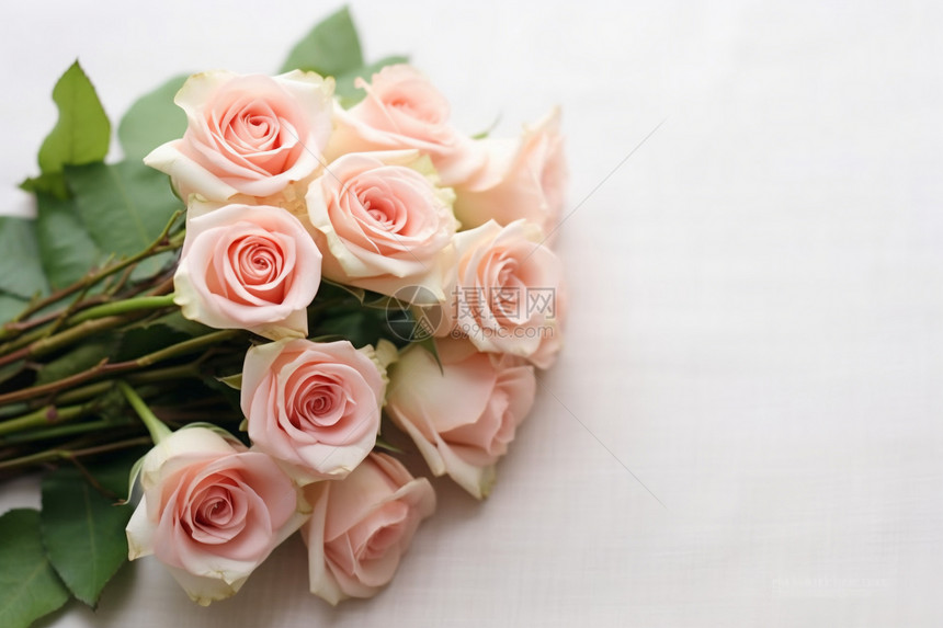 粉红色的玫瑰花束图片
