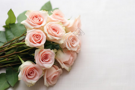 粉红色的玫瑰花束背景图片