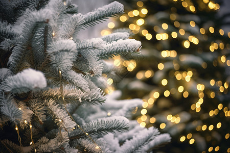 圣诞树装饰灯有装饰灯的树背景
