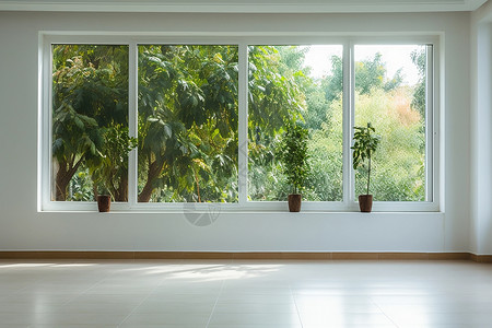 室内房屋的绿植盆栽图片