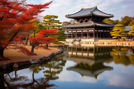 美丽的佛教神社公园景观图片