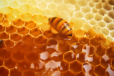 自然健康的蜂蜜图片