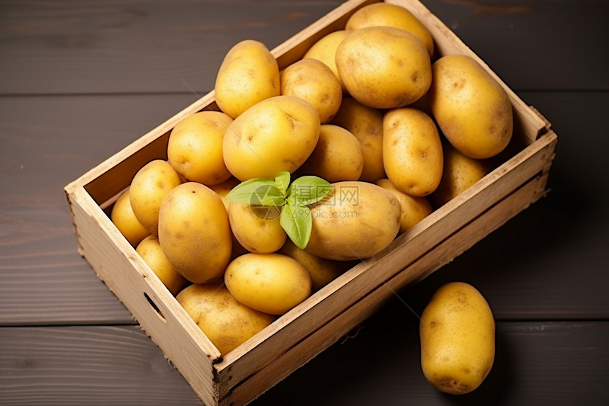 土豆农作物图片
