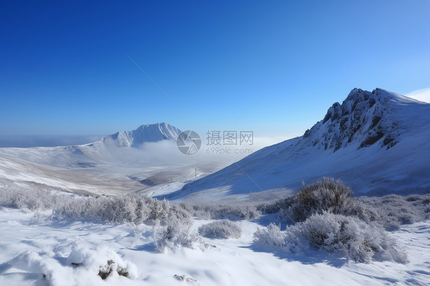 冬季美丽的雪景图片