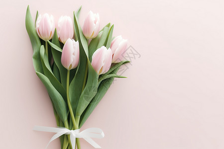 唯美的郁金香花束背景图片