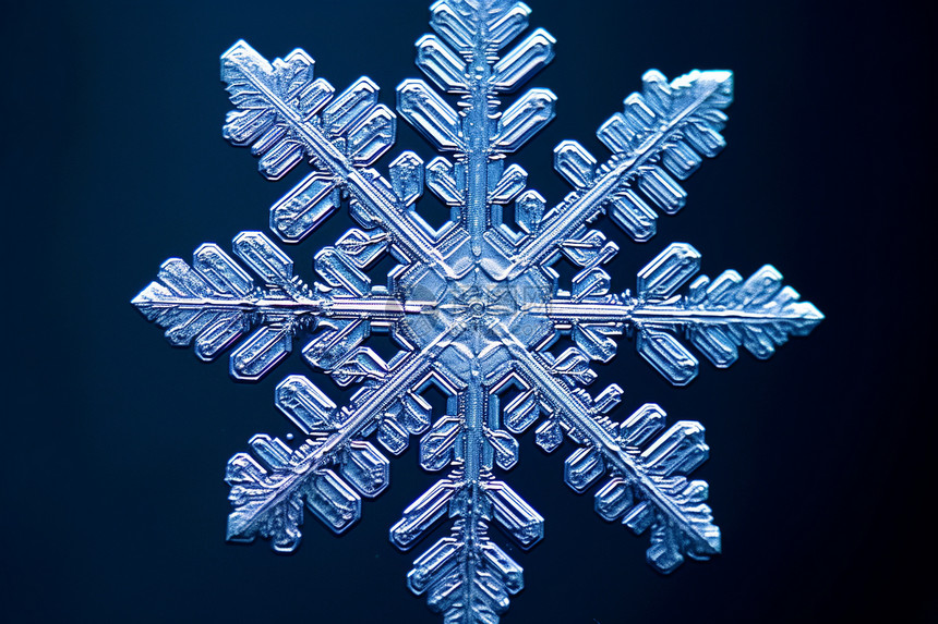 雪花的独特的美丽图片