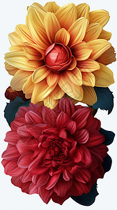 五颜六色的花朵喷墨图片