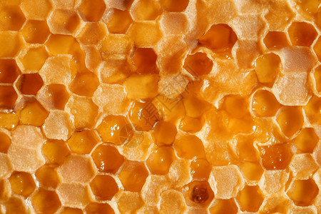 健康营养的蜂蜜图片