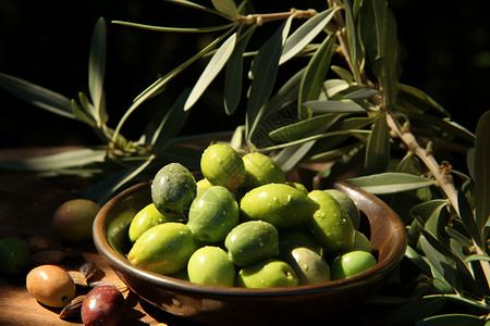 绿油油的橄榄果背景图片