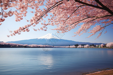 著名风景名胜的富士山景观图片