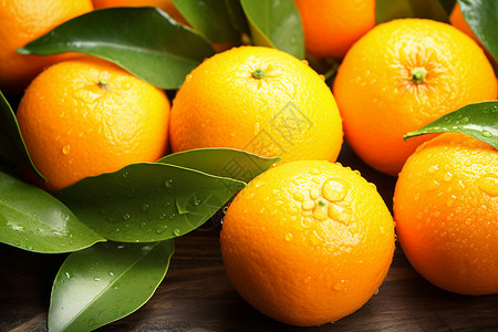 富含维生素的柑橘背景图片