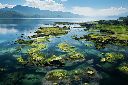 海湾风光航拍图片