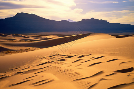 贫瘠荒野沙漠背景图片