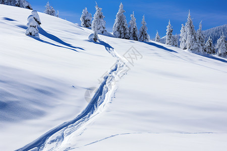 雪地上的路痕图片