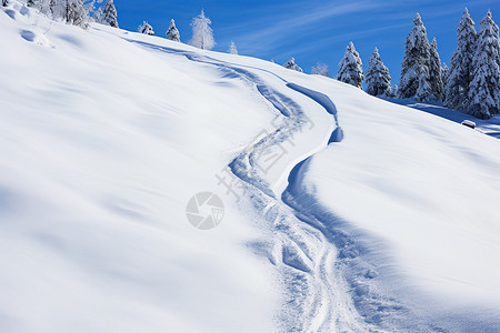 雪痕冬天的雪地环形路痕背景