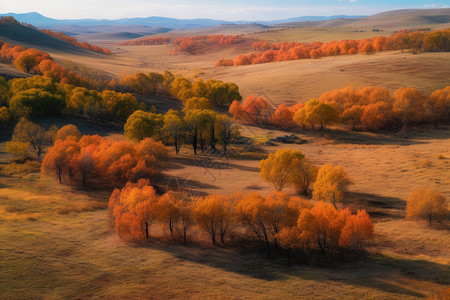 秋天山坡上的美景图片