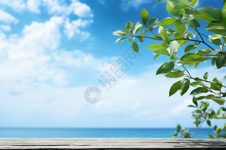 海边的木板背景图片