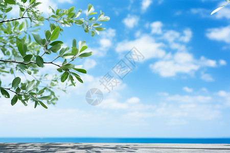 美丽的海边木板背景背景图片