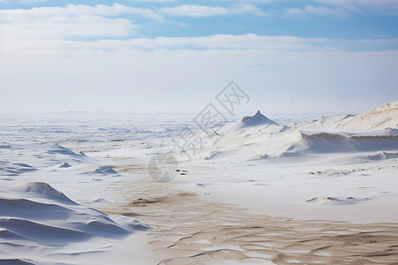 大雪覆盖的沙漠图片