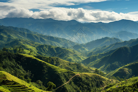 丛林山脉的风景图片