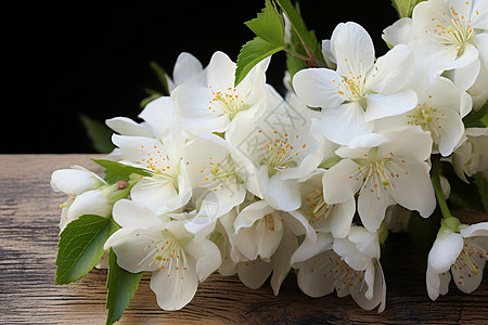 一束束花一束白色的花背景