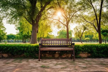 公园里的椅子背景图片
