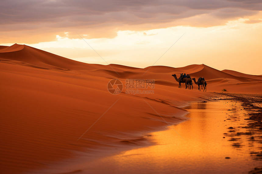 撒哈拉沙漠的风景图片