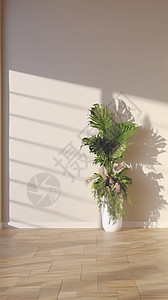 室内家居培育的绿植盆栽图片