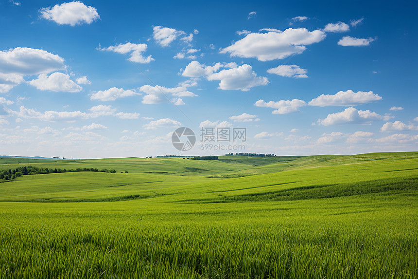 郁郁葱葱的乡村大草原景观图片