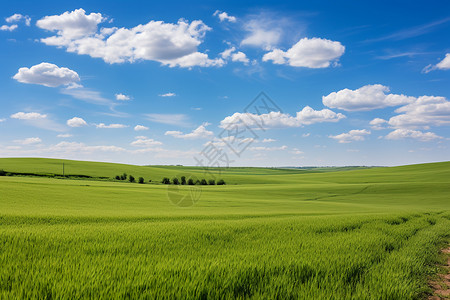 美丽的乡村大草原景观图片