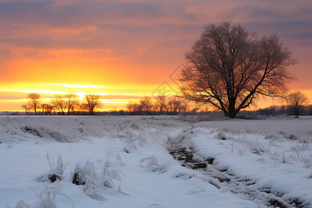 冬季乡村田野的美丽景观图片
