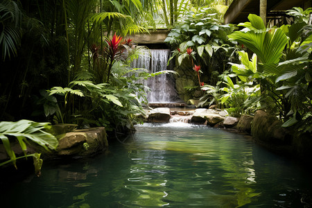热带地区的温泉汤池背景