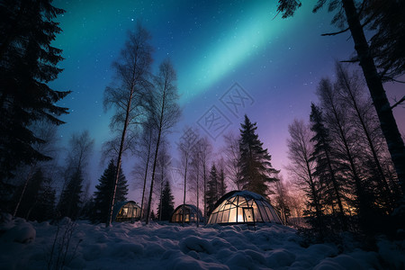 北极光下的绿色帐篷高清图片