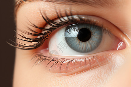 角膜捐献眼睛的瞳孔背景