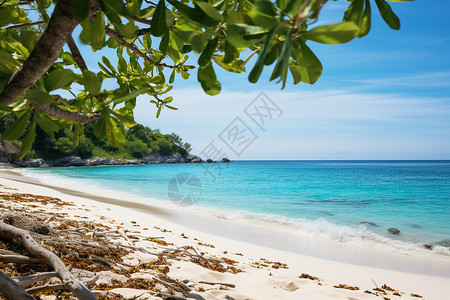 普吉岛的海滩图片